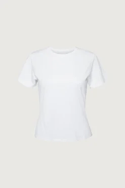 BASIC CREWNECK T-SHIRT