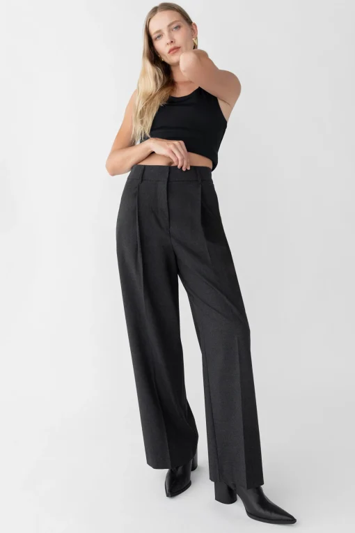 WIDE LEG HIGH-RISE DRESS PANT